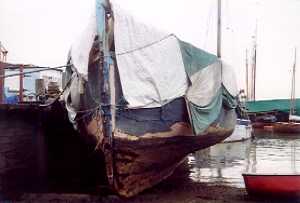 click for bigger pic