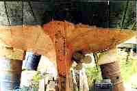 Click for larger image in a new window