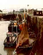 click for larger image - close window to return